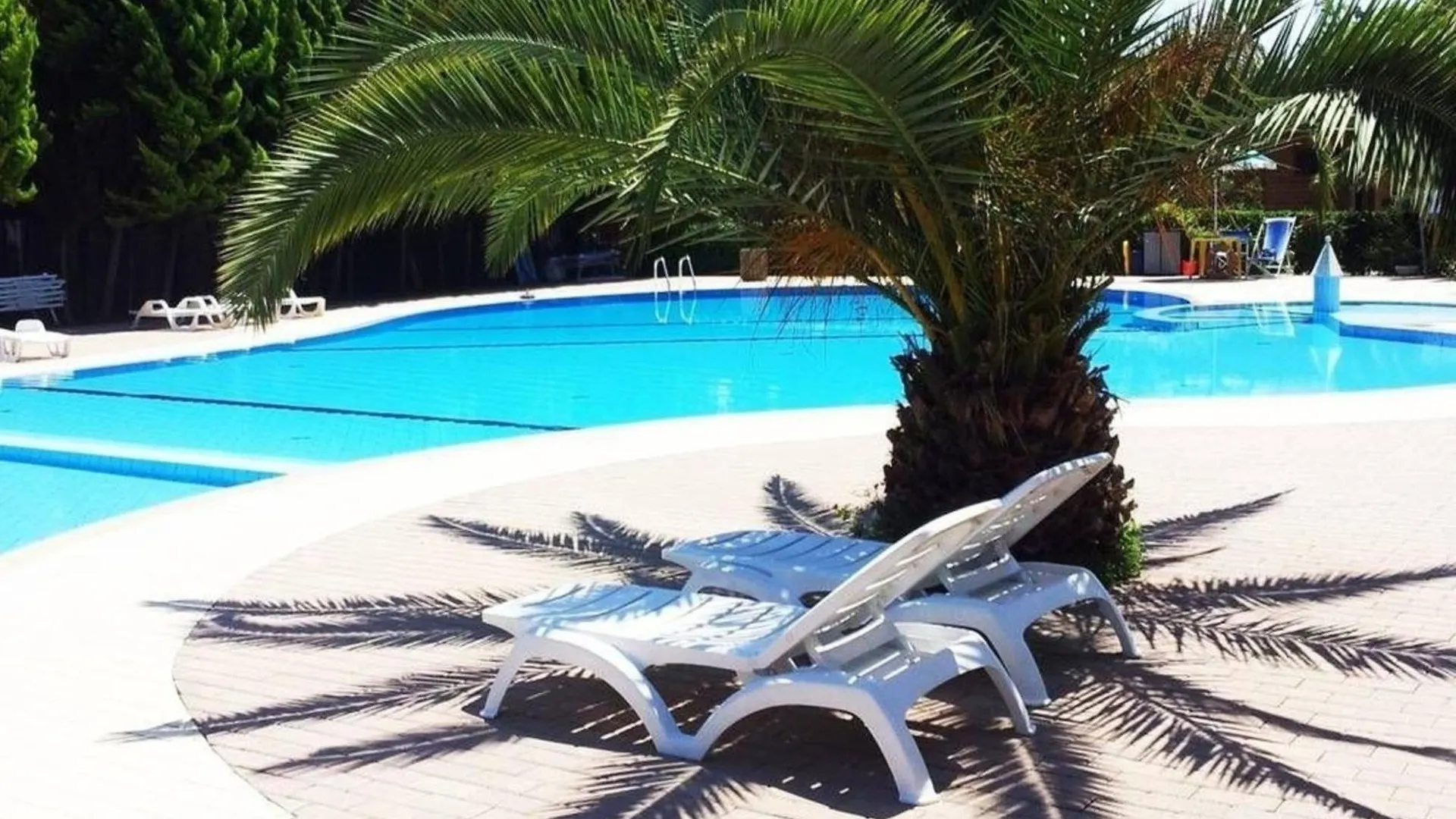 Ein Grosses Mobilheim Auf Einem Campingplatz Nahe Dem Meer Und Dem Badeort Viareggio Italy